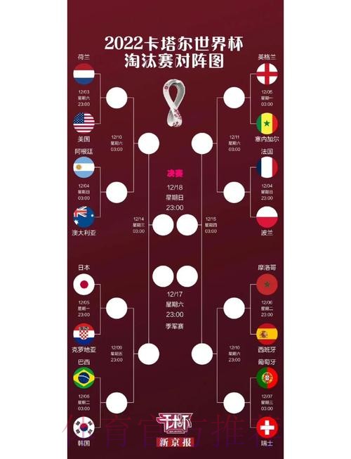 最新世界杯比赛结果全面盘点
